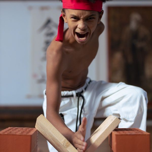 Pesilat Patahkan Kayu